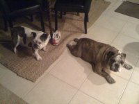IMG_0393.jpg