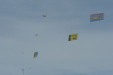lauderdale 090.jpg