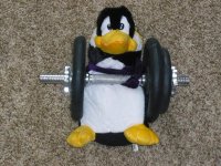 pengy evening 001.jpg