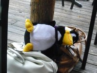 pengy bar trip! 001.jpg