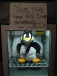 Penguin frozen.jpg