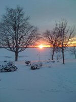 IMG_0615.jpg