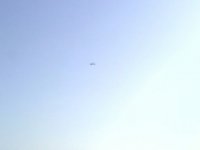 Beachness 020.jpg