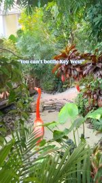 IMG_6983.jpeg