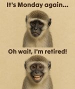 IMG_7038.jpeg