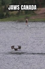 IMG_7248.jpeg