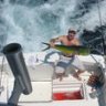 SLOWOUTBOARD